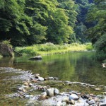 自然に抱かれた安らぎの地 宮城峡 自然に抱かれた安らぎの地 宮城峡