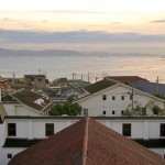 ホワイトオーク 「あかし」 ホワイトオーク 「あかし」