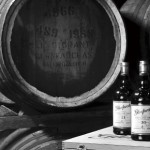 嵐を乗り切れ【全2回・後半】 嵐を乗り切れ【全2回・後半】