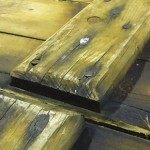 ウイスキーを助ける乳酸菌 ウイスキーを助ける乳酸菌