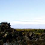 ピートとフェノールの不思議 ピートとフェノールの不思議