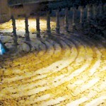 麦汁のすべて 麦汁のすべて