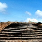 世界が認めたインド産ウイスキー 世界が認めたインド産ウイスキー