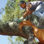 ボトルに栓をする瞬間 ボトルに栓をする瞬間