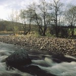 スコッチウイスキーとエコロジー 【その1/全3回】 スコッチウイスキーとエコロジー 【その1/全3回】