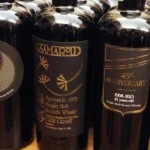 Italian Legend ― 進化するサマローリ【後半/全2回】 Italian Legend ― 進化するサマローリ【後半/全2回】