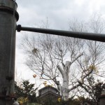 軽井沢蒸溜所の終焉【後半/全2回】 軽井沢蒸溜所の終焉【後半/全2回】