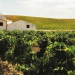 シェリー樽の長い旅【第2回】 シェリー樽の長い旅【第2回】