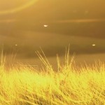 地球にやさしいウイスキー【第1回/全4回】 地球にやさしいウイスキー【第1回/全4回】