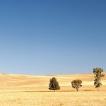 オーストラリアの世界戦略【第3回/全3回】 オーストラリアの世界戦略【第3回/全3回】