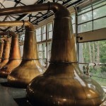 グレンオードとシングルトン【前半/全2回】 グレンオードとシングルトン【前半/全2回】