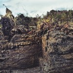 ピートの基礎知識【前半/全2回】 ピートの基礎知識【前半/全2回】