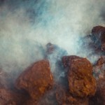 泥炭地の利用とサステナビリティ【前半/全2回】 泥炭地の利用とサステナビリティ【前半/全2回】