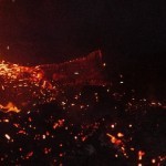 泥炭地の利用とサステナビリティ【後半/全2回】 泥炭地の利用とサステナビリティ【後半/全2回】