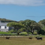 キルホーマンの次章が始まる【前半/全2回】 キルホーマンの次章が始まる【前半/全2回】