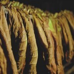 最高級キューバ産シガーの世界【第4回/全4回】 最高級キューバ産シガーの世界【第4回/全4回】