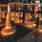 北アイルランドの復活【第1回/全3回】 北アイルランドの復活【第1回/全3回】