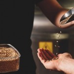 進化するスターワード【後半/全2回】 進化するスターワード【後半/全2回】