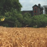 環境再生型農業とウイスキー【前半/全2回】 環境再生型農業とウイスキー【前半/全2回】