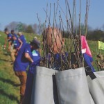 ホワイトオークとバーボン業界の未来【後半/全2回】 ホワイトオークとバーボン業界の未来【後半/全2回】