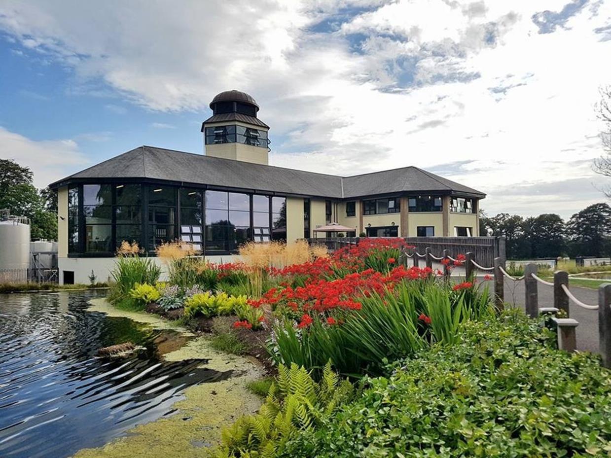 Royal-Oak-Distillery